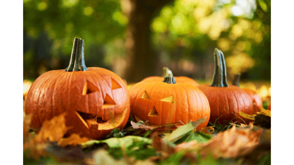 Pumpkins to represent Halloween Reading. 